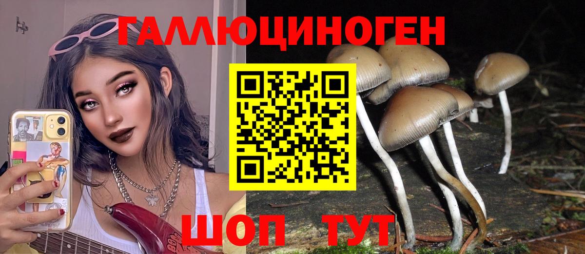 закладки  Вход с VPN  Псилоцибиновые грибы Cubensis  Вятские Поляны  Псилоцибиновые грибы GOLDEN TEACHER 