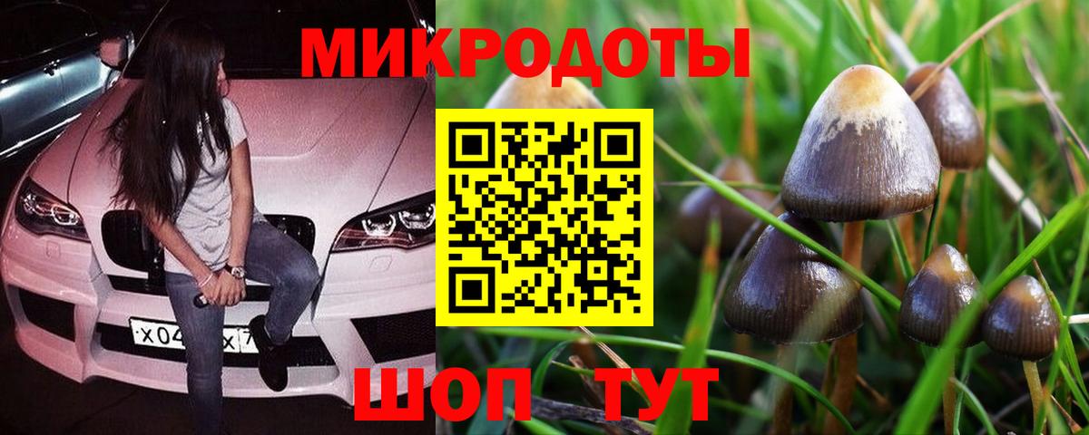 Псилоцибиновые грибы Cubensis Вятские Поляны